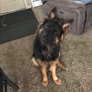 Meet your Posher, Renee